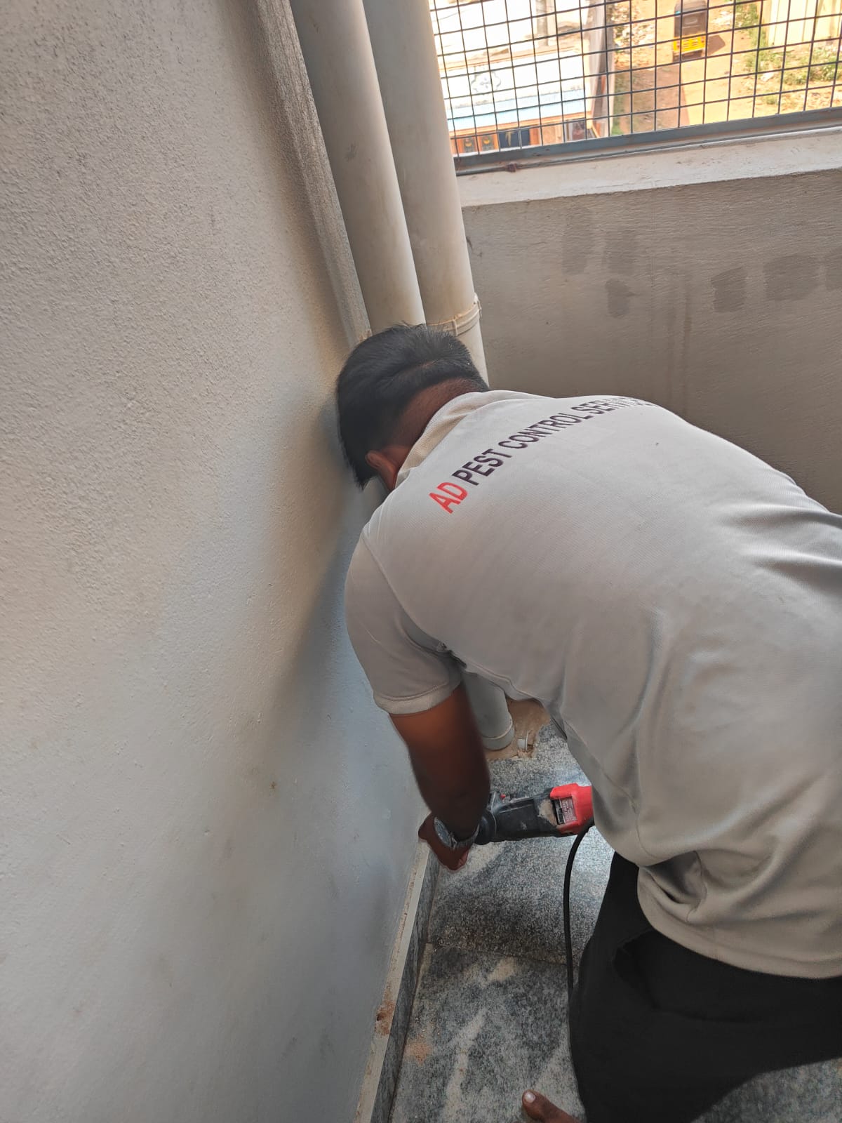 Gallery Hero Background